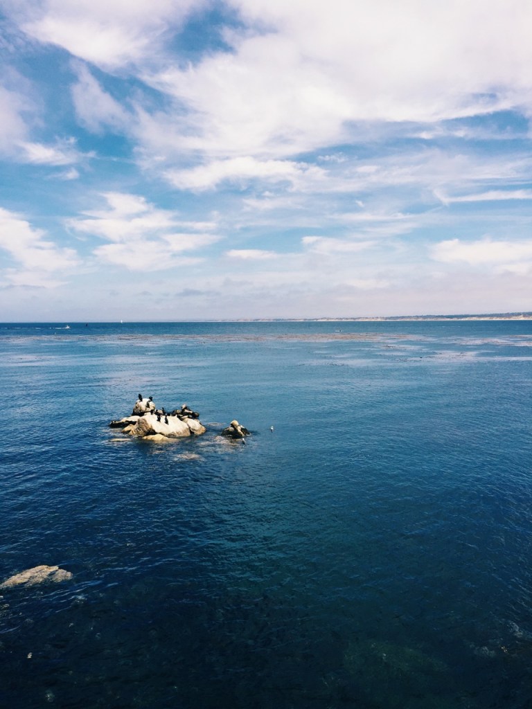 Processed with VSCO with g2 preset